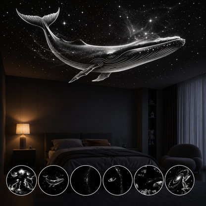 Galaxy Projector